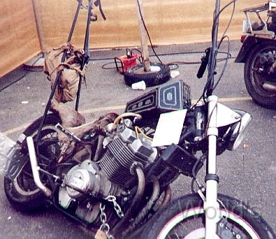 Rats 007.jpg